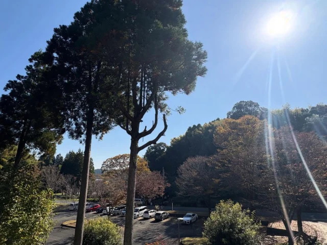 鹿央物産館ホームページ | 熊本県山鹿市鹿央町。鹿央古代の森・鹿央