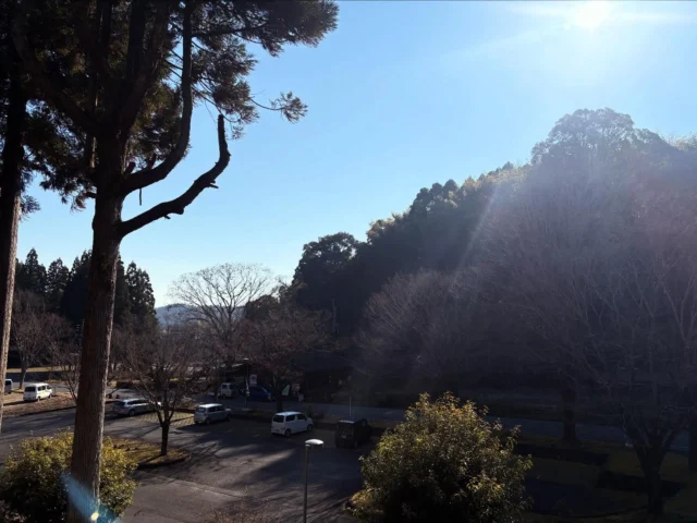 鹿央物産館ホームページ | 熊本県山鹿市鹿央町。鹿央古代の森・鹿央